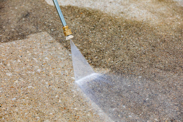 Best Pre-Holiday Cleaning  in Braselton, GA